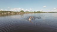 заплыв по плаванию на открытой воде «Лемью-Алёшино» заплыв по плаванию на открытой воде «Лемью-Алёшино»